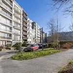 Lecomte - Sunshine Paradise 191 *